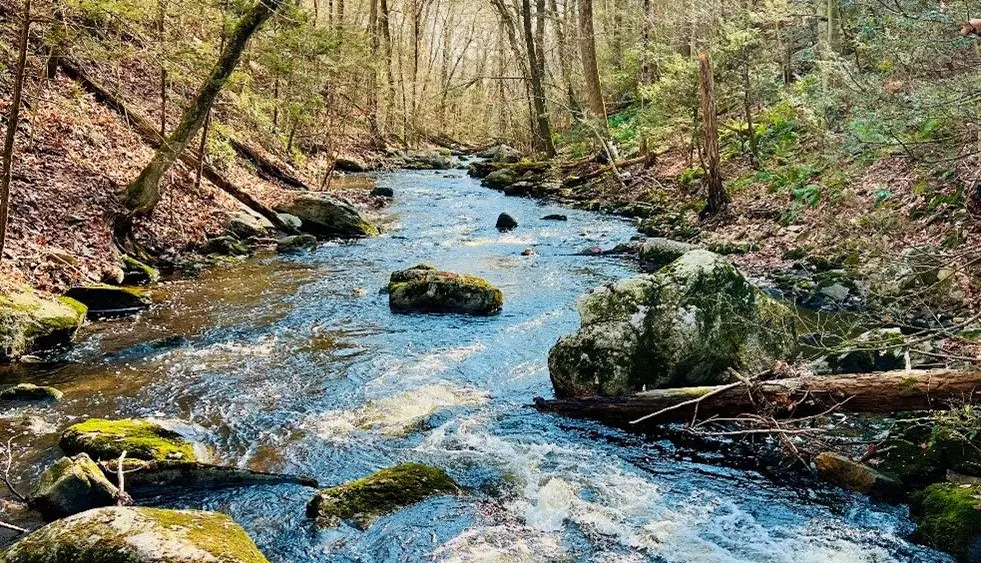 greenwich-land-trusts-new-byram-river-preserve