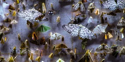 cinema-at-the-bruce-nocturnes-2