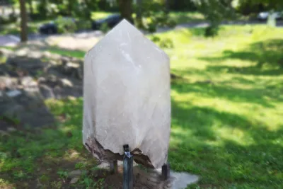 wellness-day-september