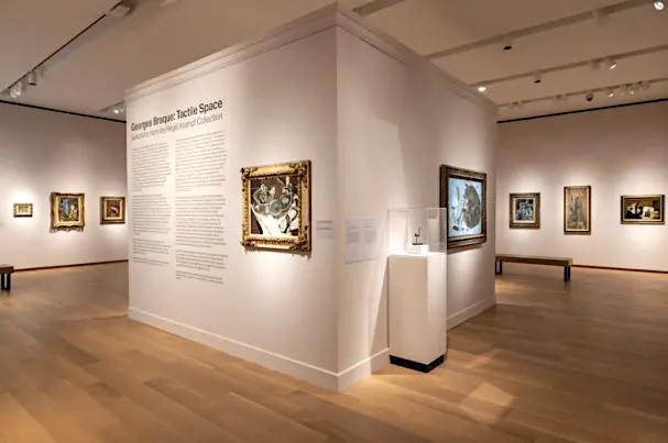 bruce-museum-georges-braque