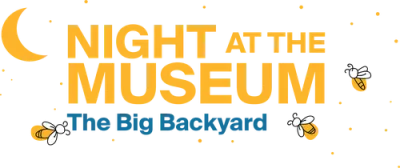 nightatthemuseum