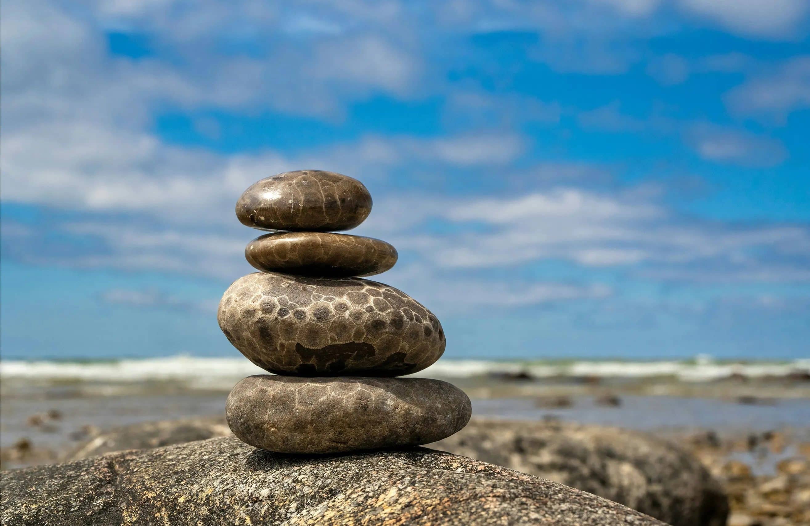 brad-switzer-kx28yg-2e16d0ba-fill-format-webp