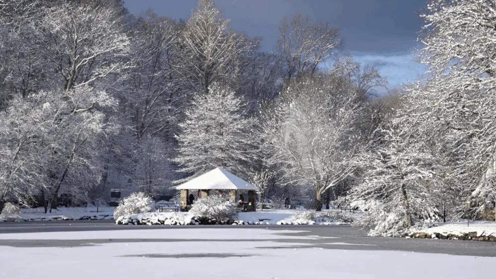 binney-park-after-a-snowfall-photo-by-bob-capazzo