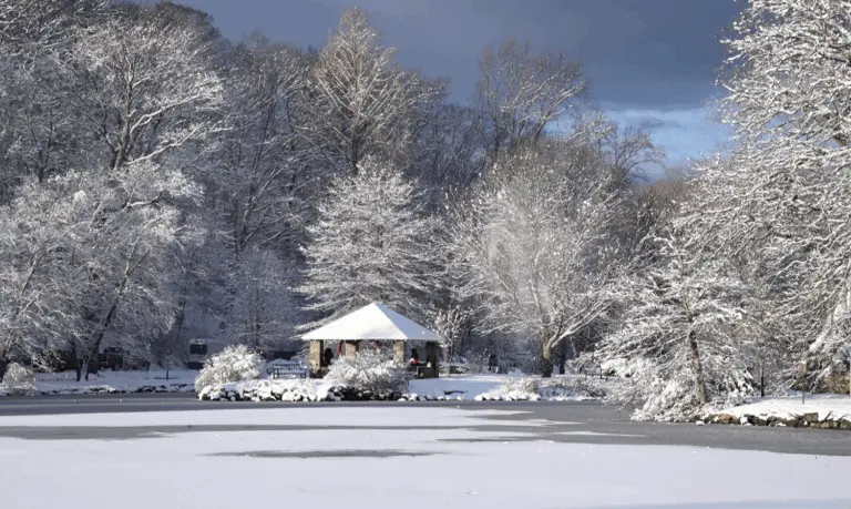 binney-park-after-a-snowfall-photo-by-bob-capazzo