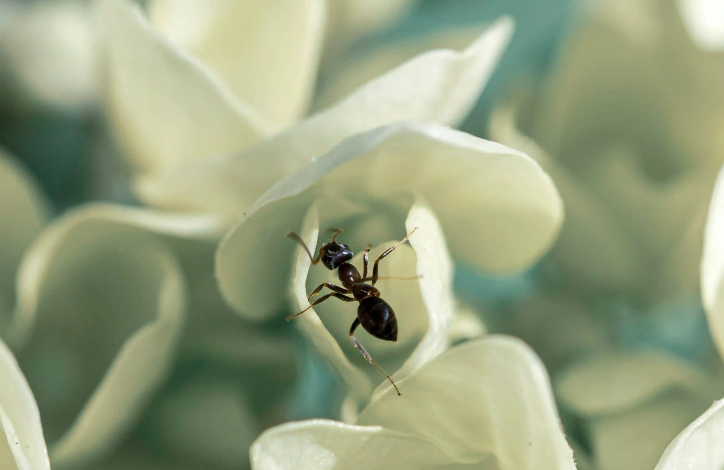 duong-thinh-iptn1em-2e16d0ba-fill-format-webp