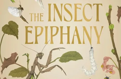 81ckjkq8xhl-_sl1500-2e16d0ba-fill-format-webp