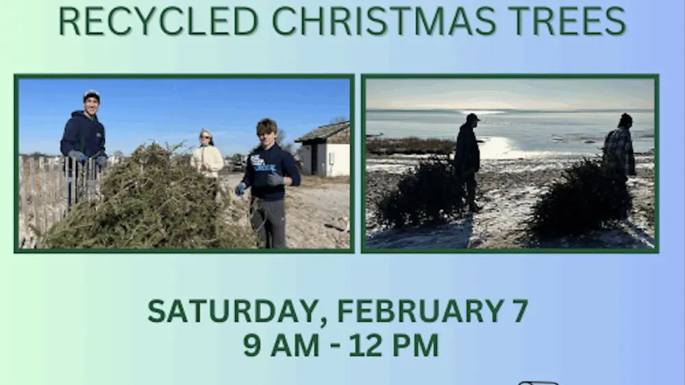 friends-of-greenwich-point-christmas-tree-dune-protection-flyer