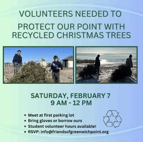 friends-of-greenwich-point-christmas-tree-dune-protection-flyer