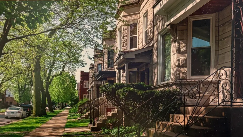 tree-health-study-img_3740