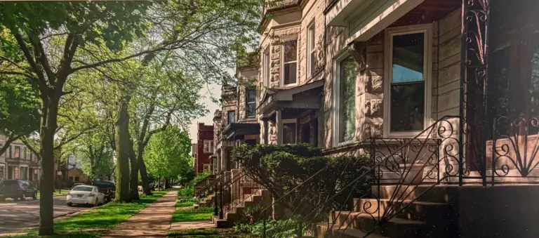 tree-health-study-img_3740