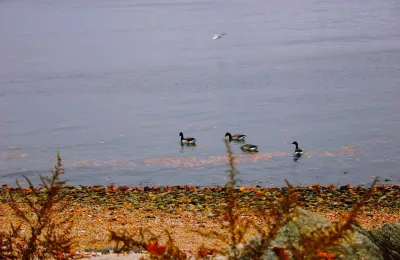 anastasia-dza5sdpoh-2e16d0ba-fill-format-webp