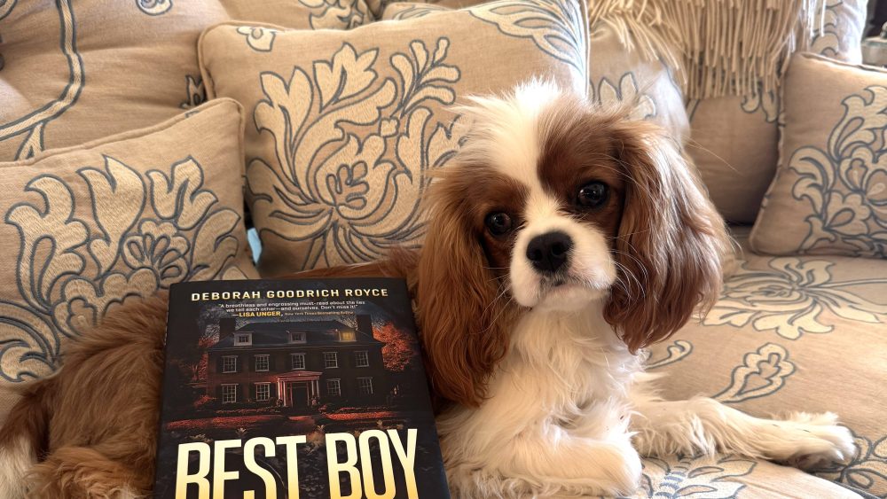 2-best-boy-and-puppy-jip-img_9043