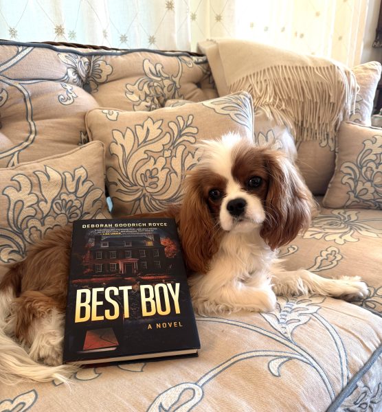 2-best-boy-and-puppy-jip-img_9043