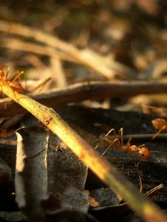 abhinay-tharu-wnqoq-2e16d0ba-fill-format-webp