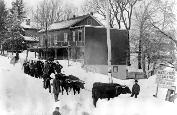 1-oxen-ave-blizzard-1888-2