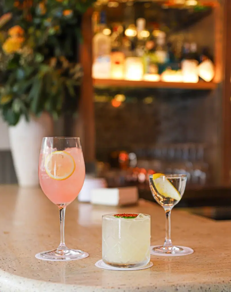 saveinta-com_539442806_18532699996049522_8540264851880217799_n