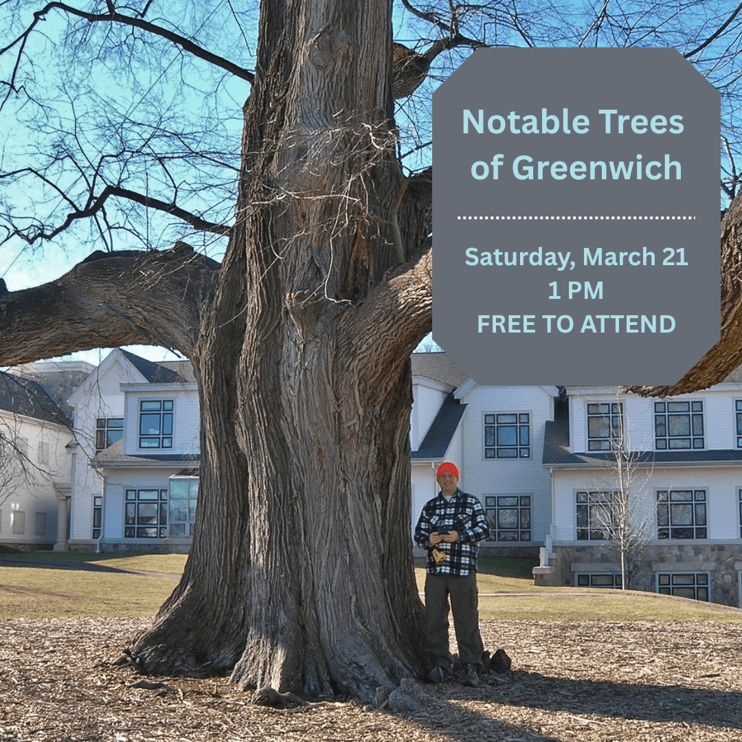 notable-trees-march-2026
