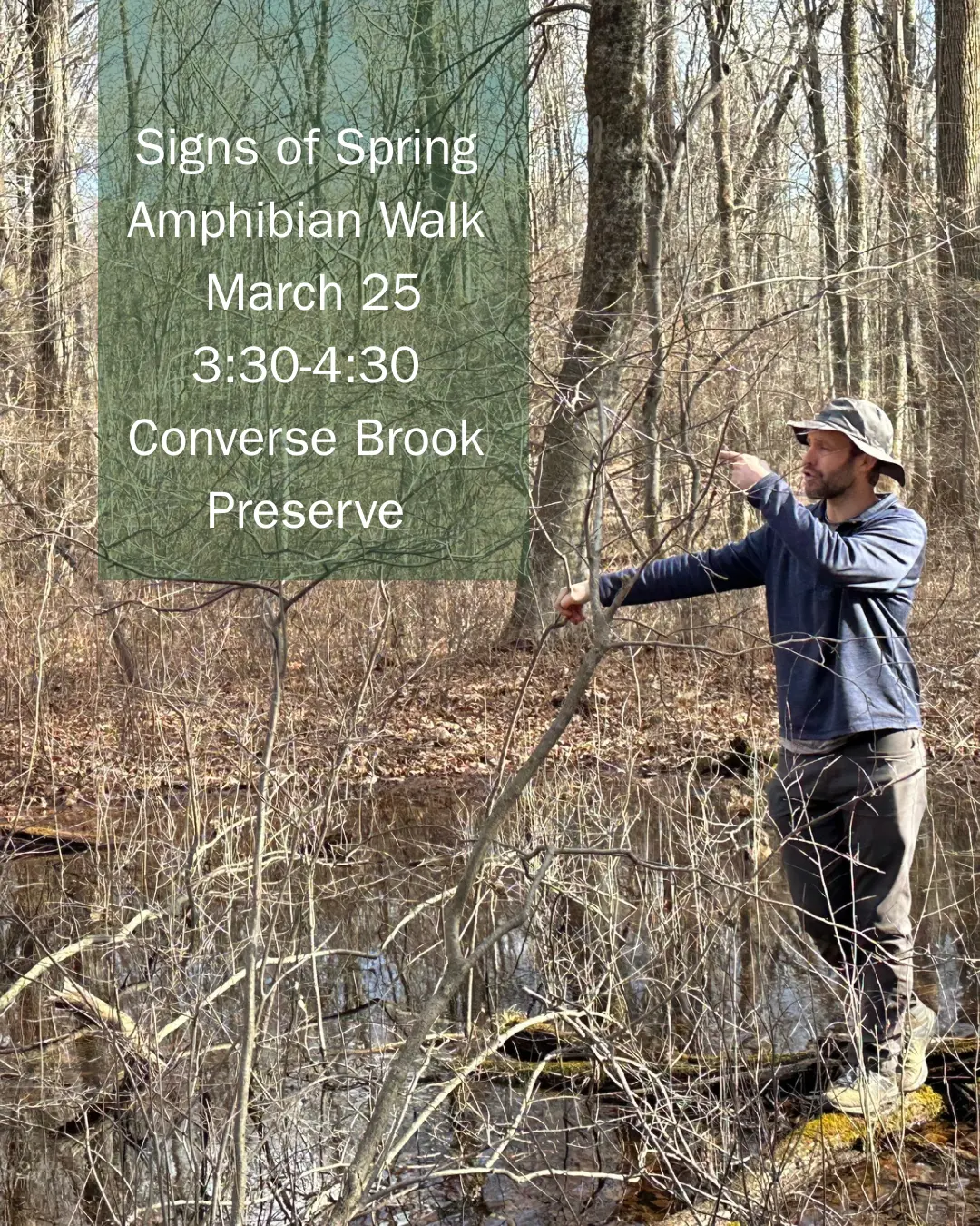 free-signs-of-spring-amphibian-walk-wednesday-march-25-330-430-converse-brook-preserve