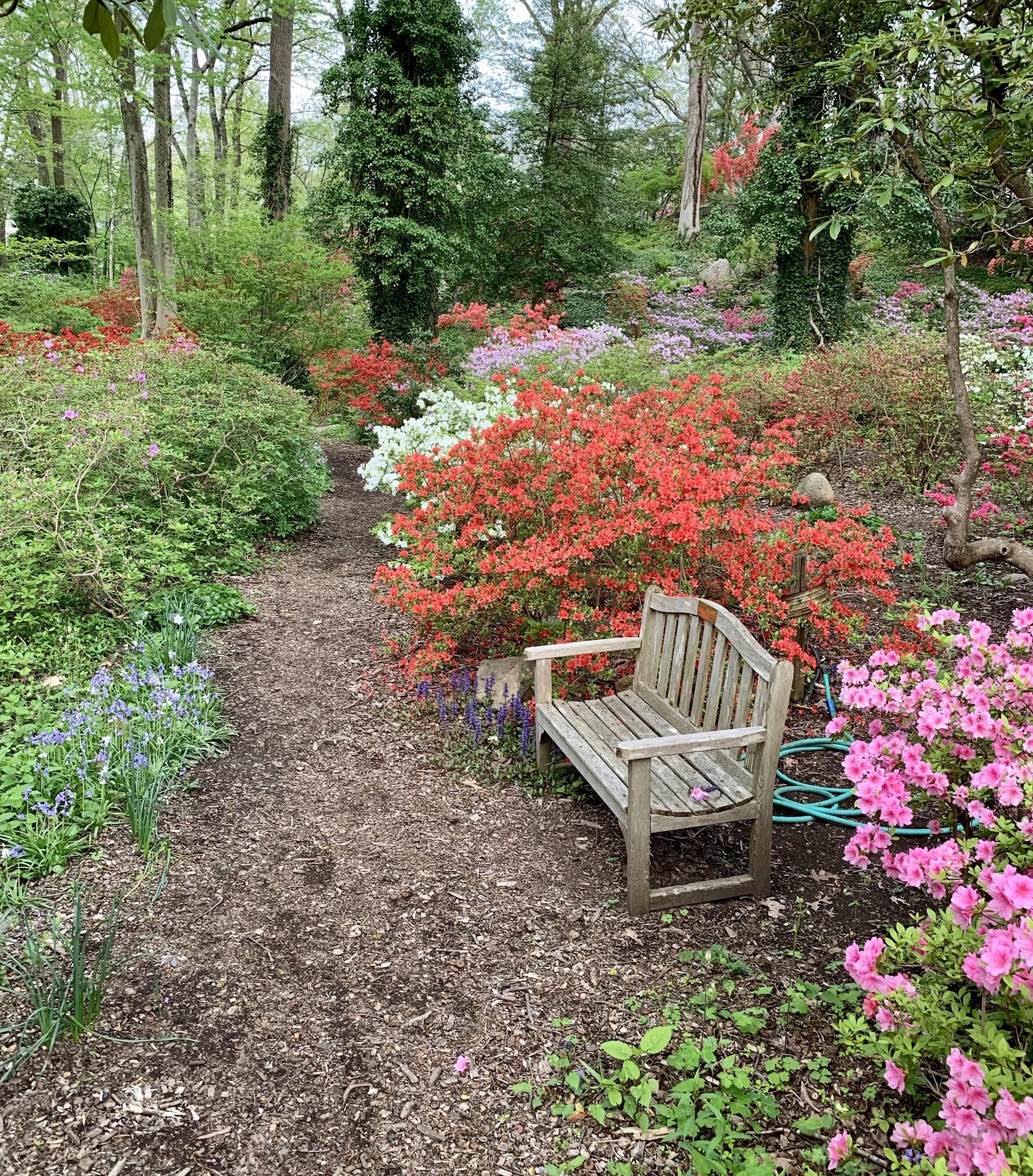 49914832397_96442ac94b_o