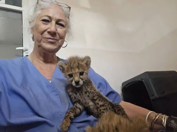 e949da4a-52e4-43de-913b-2d9289b81292