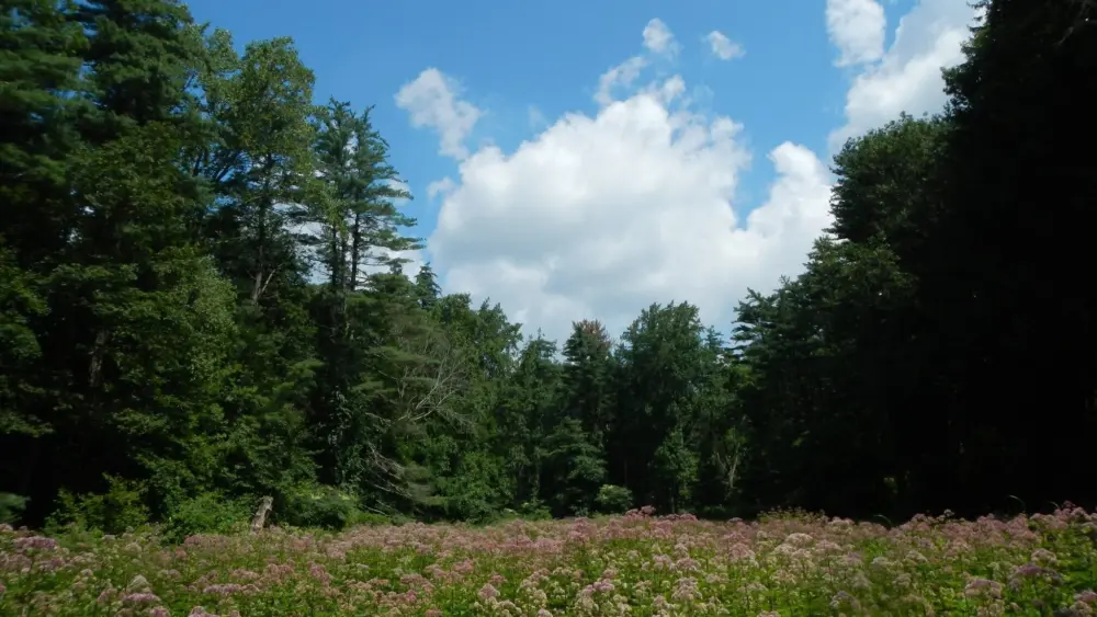 greenwich-land-trust-6