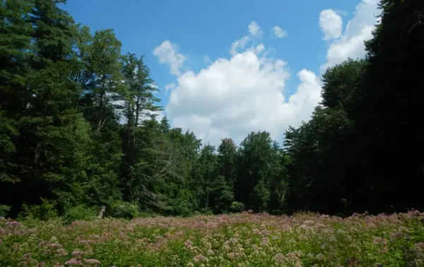 greenwich-land-trust-6