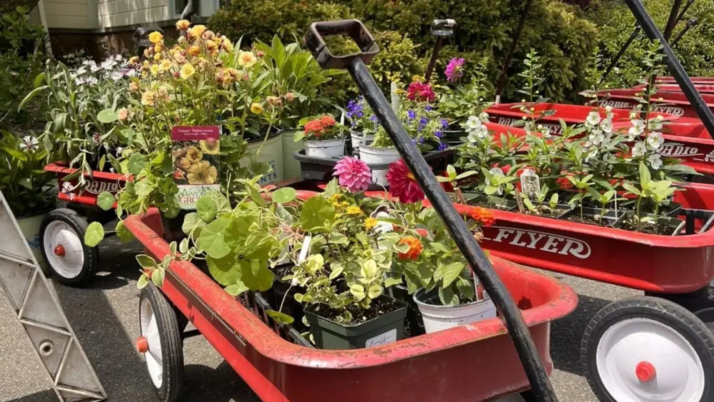 botanical-center-gbc-may-gardeners-market