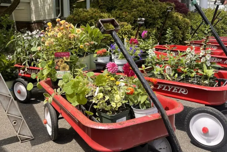 botanical-center-gbc-may-gardeners-market