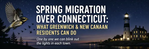 dim-lights-for-spring-bird-migration
