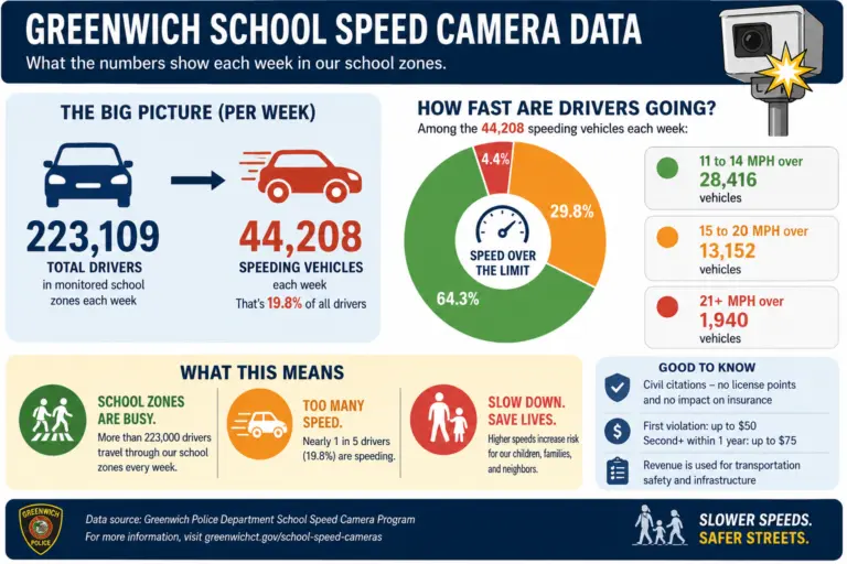 infographic3