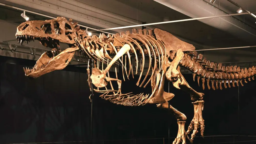 3-scotty-t-rex-1o6a9775