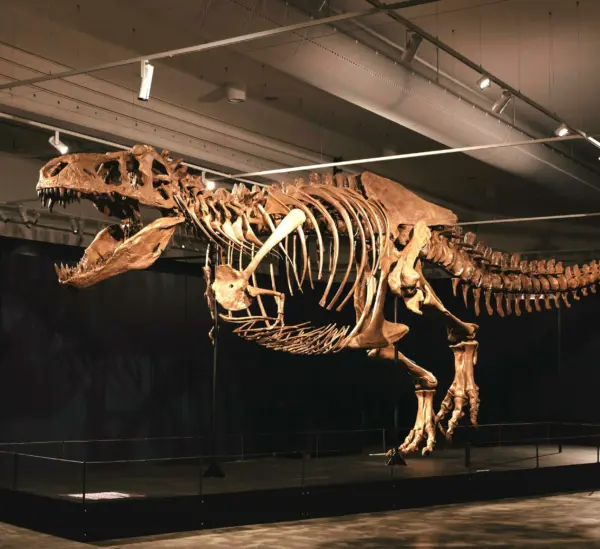 3-scotty-t-rex-1o6a9775