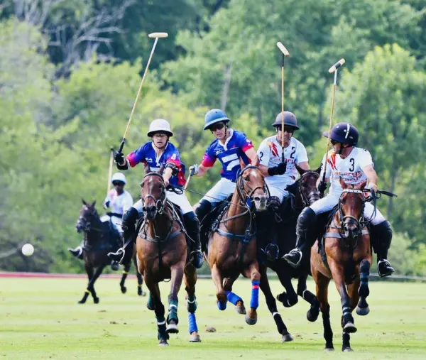 polo-2-game