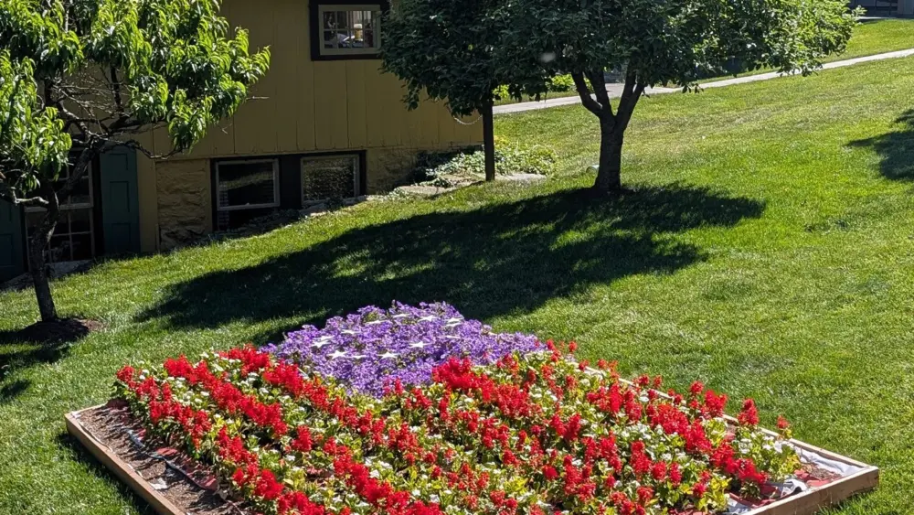 1-flower_flag-06-c