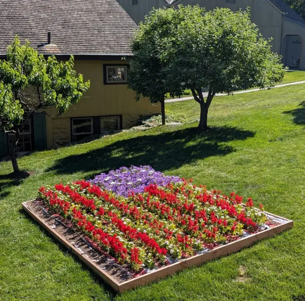 1-flower_flag-06-c