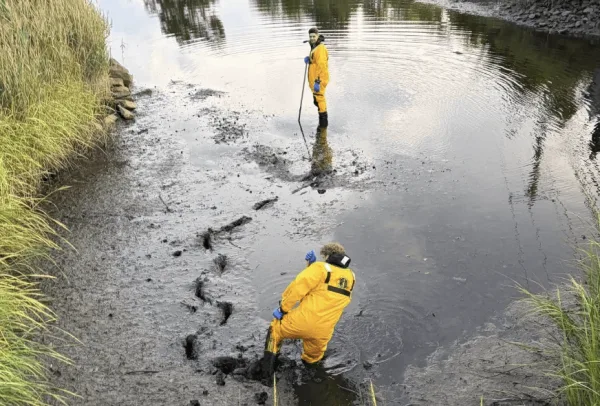 volunteers-train-clean-mill-pond-2