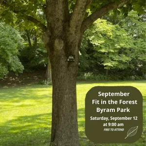 september-fit-in-the-forest