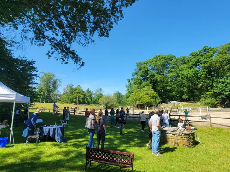 2-kelsey-farm-horse-show-20230528_101822