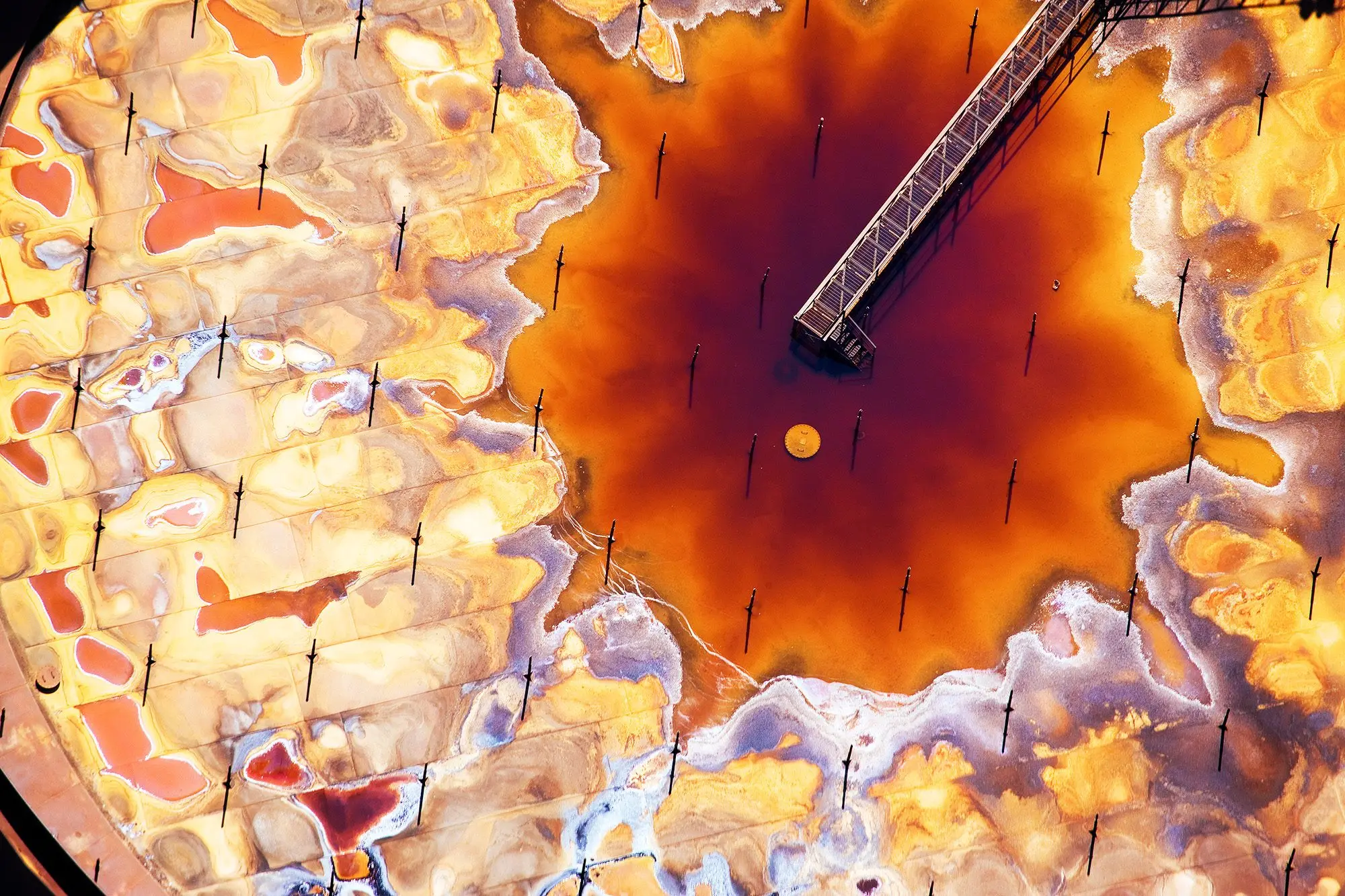 ジーン・ヘンリー Jean Henry「自画像」油彩 12号 大作 Photographer J. Henry Fair's Art Explains Science | Greenwich