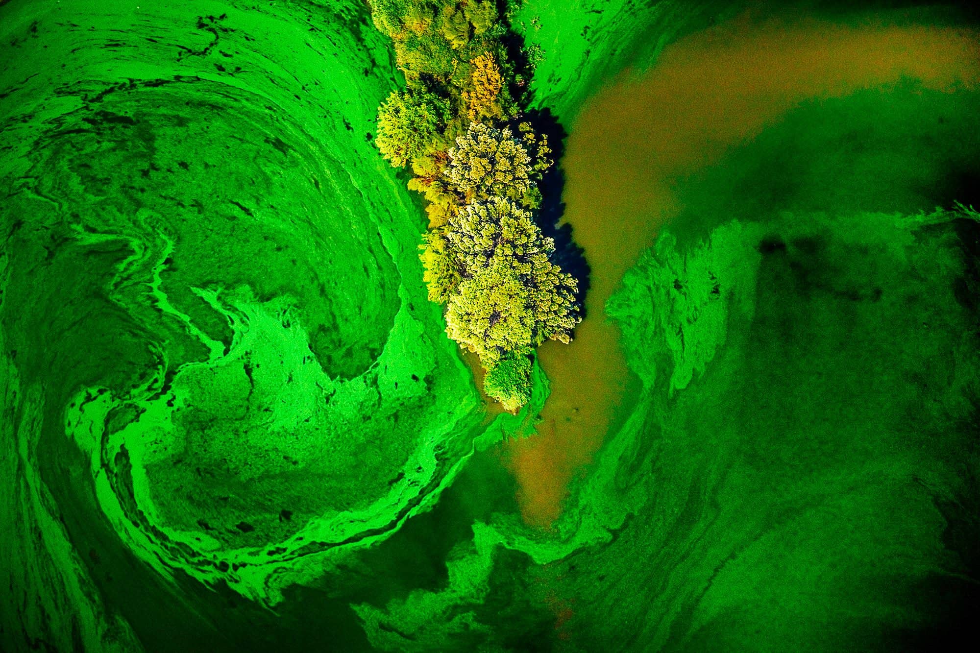 Photographer J. Henry Fair's Art Explains Science | Greenwich