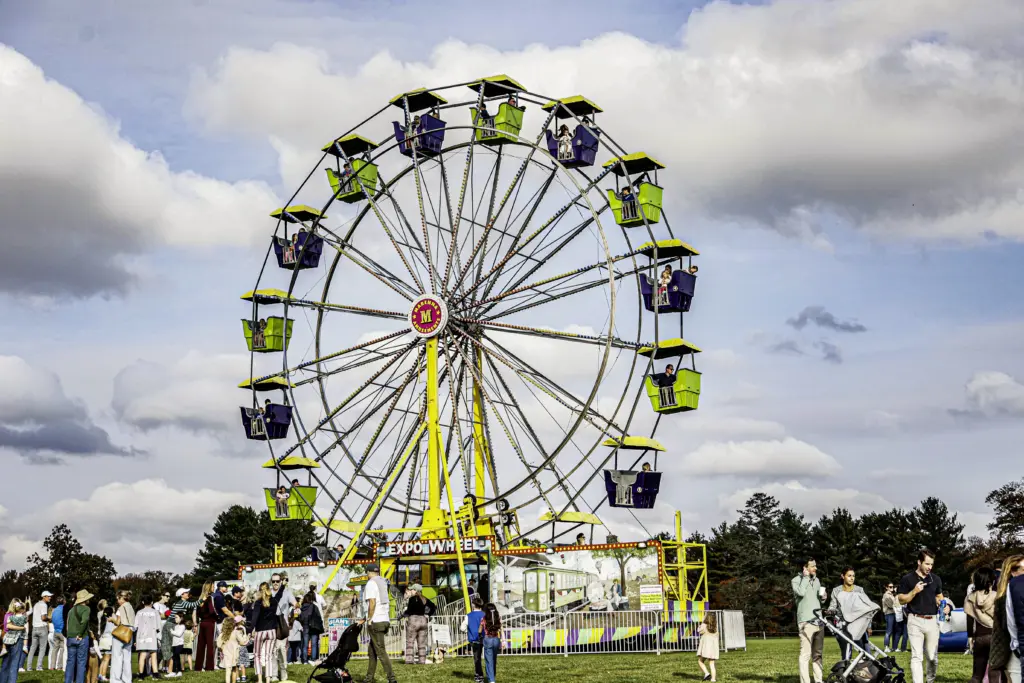 2025-ferris-wheel-crowd