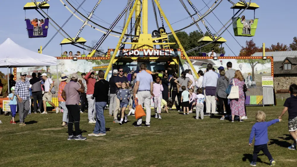 ferris-wheel-group