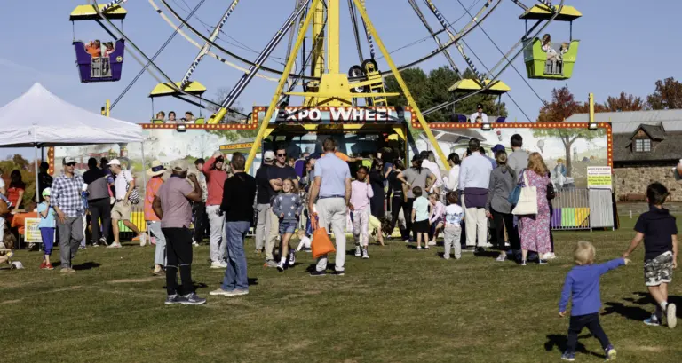 ferris-wheel-group