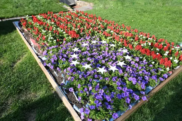 flag-of-flowers-blooms-in-greenwich-for-americas-250th