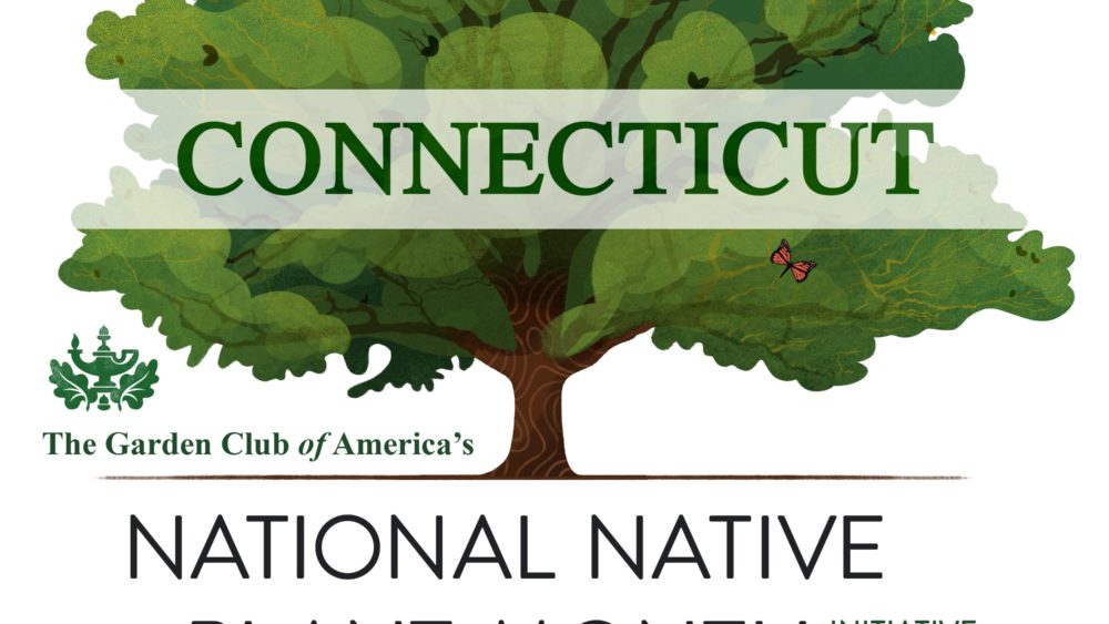 copy-of-gca_npm_connecticut_square_still-1
