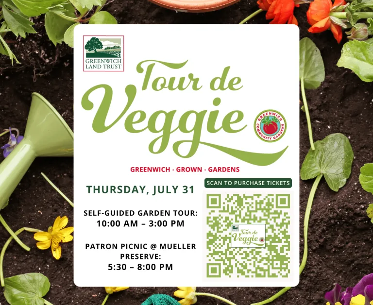 tourdeveggieflyer-real-estate-flyer-4