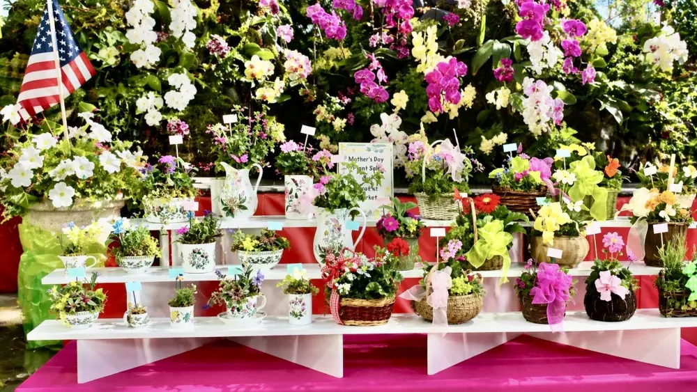 gpt-flower-flag-pic-727-kb-epj-plant-sale-jpg