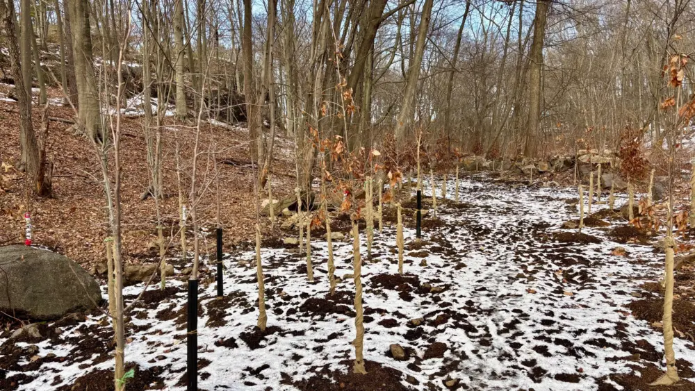 laddin_s-rock-sanctuary-3