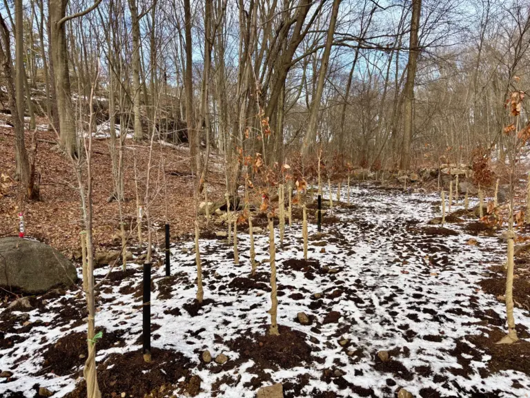 laddin_s-rock-sanctuary-3