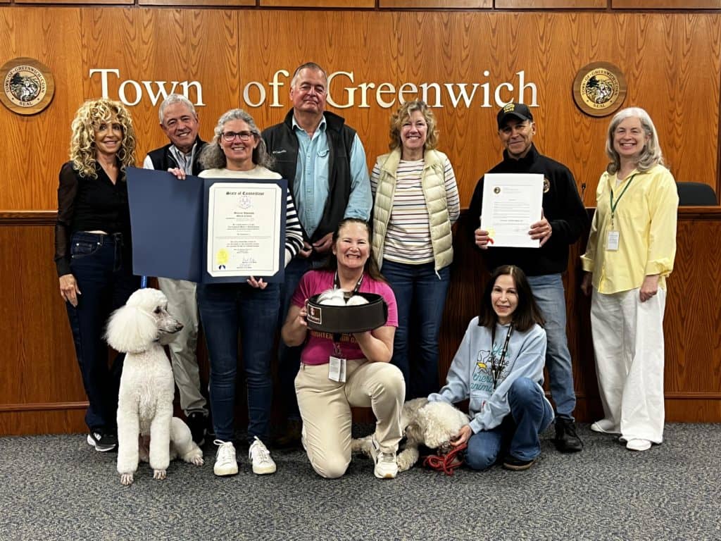 April 30, 2024 Is Therapy Animal Day In Greenwich | Greenwich Sentinel ...